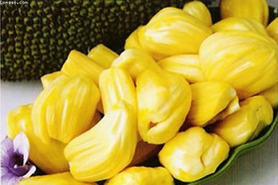 Những bài thuốc dân gian từ mít